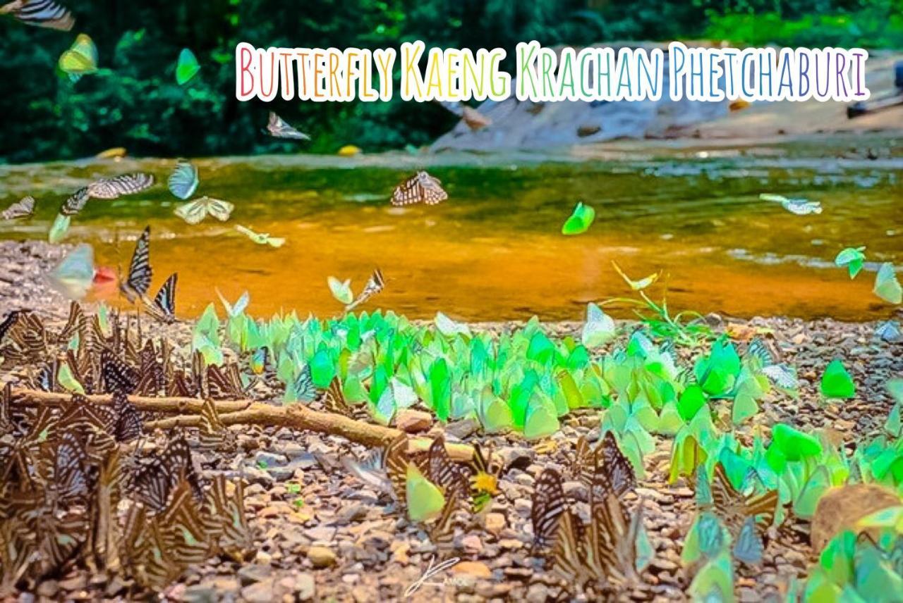 Baan Rai Pray Rung Kaeng Krachan Ban Tha Ling Lom Dış mekan fotoğraf