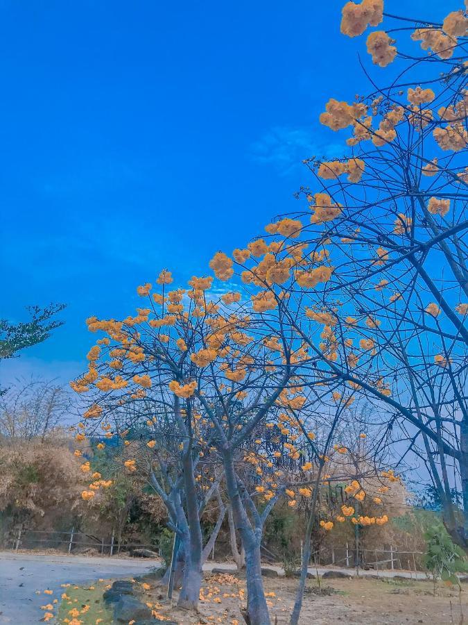 Baan Rai Pray Rung Kaeng Krachan Ban Tha Ling Lom Dış mekan fotoğraf